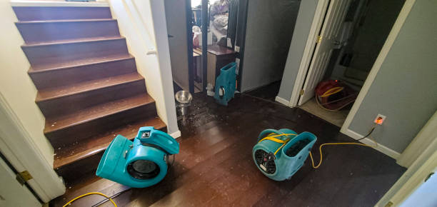 Best Residential water damage restoration  in Edmonton, KY