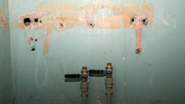 Best Residential water damage restoration  in Edmonton, KY