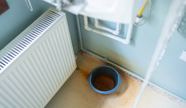Best Carpet water damage restoration  in Edmonton, KY
