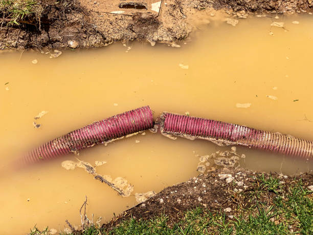 Best 24/7 water damage repair  in Edmonton, KY