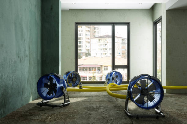 Best Water damage restoration near me  in Edmonton, KY