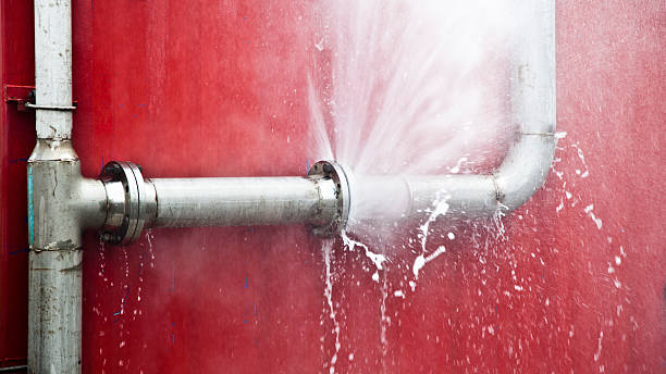 Best Basement water damage restoration  in Edmonton, KY